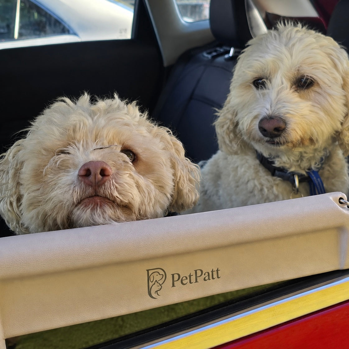 PetPatt Chin Comfort™