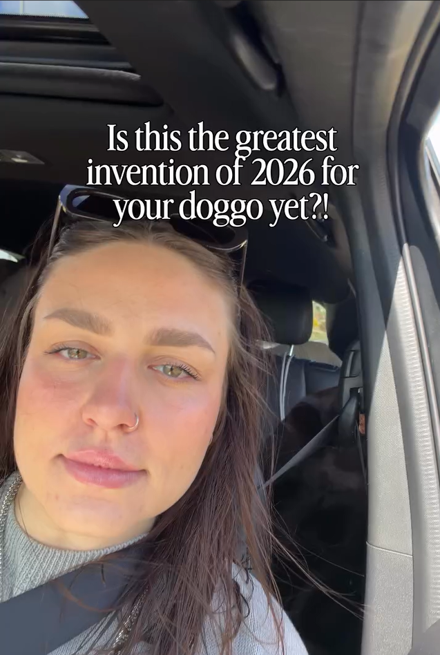 PetPatt dog enjoying a car ride